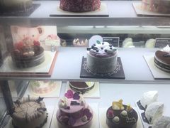 -多乐之日(西苑龙湖店)
