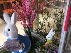 -苗小坛酸汤鱼(酒仙桥店)