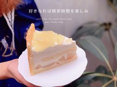 茉莉洋梨夏洛克-dokidoki