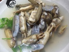 原汁蛏子-涛雒人家