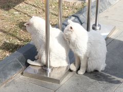 -北京鲁迅博物馆(北京新文化运动纪念馆鲁博馆区)