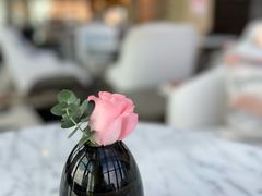 -星璞全日餐厅·高空自助餐(深铁铂尔曼酒店)