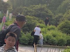 -郑州植物园