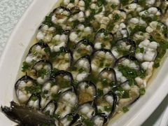 -呼吸森林·生态农庄农家乐私房菜