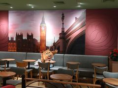 -COSTA COFFEE(西直门店)