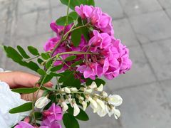 -响堂山石窟-北响堂山石窟