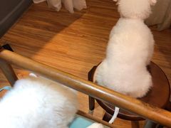 -伽利略剧本探案馆(国贸店)