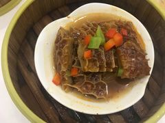 麻椒蒸金钱肚-维多利亚大酒店·雅园中餐厅
