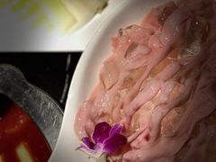 -三只耳火锅(宽窄巷子店)