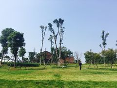 -梁子湖东篱老屋生态庄园