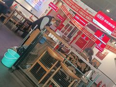 -老佛爷蛙锅•鲜蛙煲(麦凯乐店)