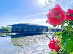 -泗洪洪泽湖湿地景区