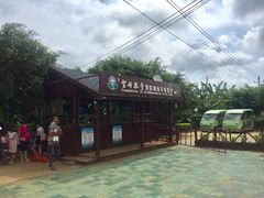 -涠洲岛-圣母堂