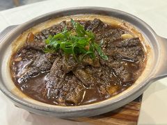 -丁老爷子苏香圆