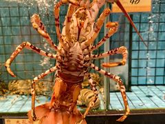 -港澳德兴火锅海鲜酒家(殷皇子店)