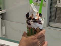 -Salud撒露欧洲冻酸奶(蓝色港湾店)