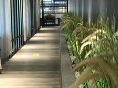 -拈菜(观音桥阳光世纪店)