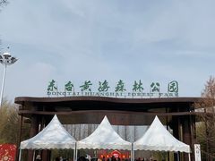 -黄海国家森林公园