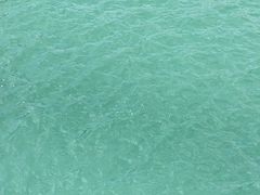 -枸杞岛