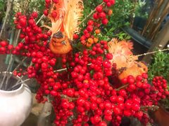 -花二家·生活馆(六运小区店)