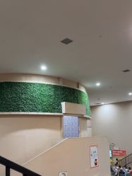 -疯狂的麦咭(长沙店)