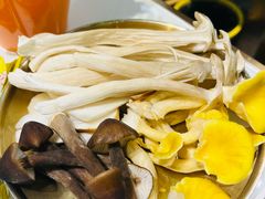 -菌小白火锅(时尚天河店)