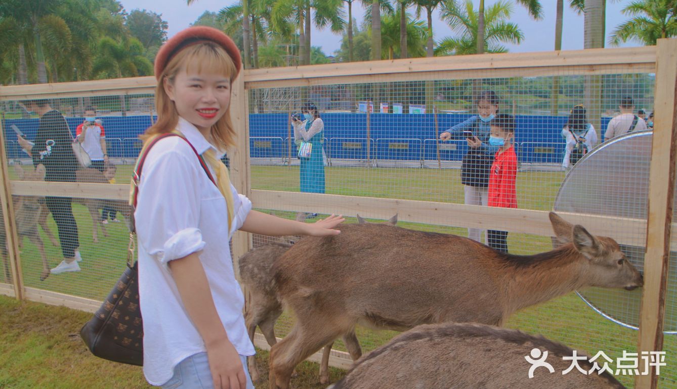 南宁鹿岛公园我来了，凑热闹真的想哭