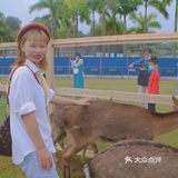 南宁鹿岛公园我来了，凑热闹真的想哭