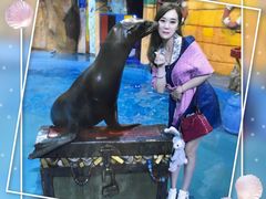 -烟台海昌鲸鲨海洋公园