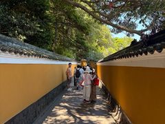 -普陀山风景名胜区-法雨禅寺