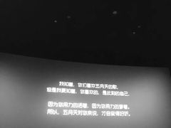 -星河寰宇IMAX影城(星河WORLD·COCO Park店)