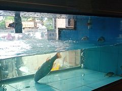 -上菜呷饭(花溪店)