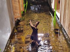 -邈墨茶馆(凤起路店)