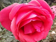 -人民公园(罗湖区)