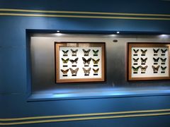 -上海昆虫博物馆