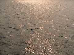 -艾溪湖湿地公园