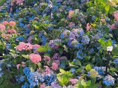 -王府井步行街