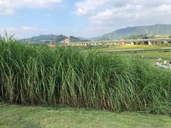 -光明小镇欢乐田园