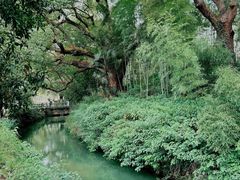 -古堰画乡景区