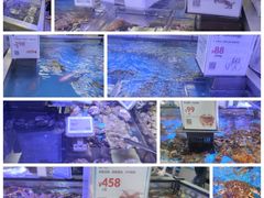 -盒马鲜生(大成店)