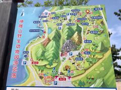 -西霞口神雕山野生动物世界