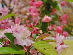 -成都南湖公园