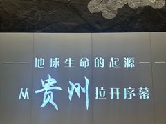 -重庆海昌加勒比海水世界