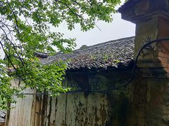 -杨家堂村