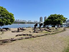 -台场海滨公园船码头