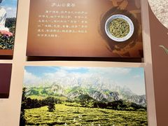 -九江市博物馆