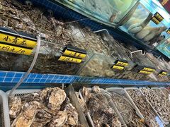 -望海潮海鲜店 特色家常菜(在海一方店)
