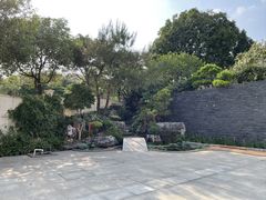 -仙湖旅游度假区