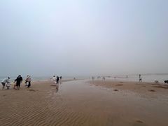 -日照海滨国家森林公园
