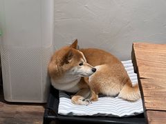 -三目仓咖啡(贤南路店)